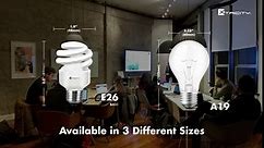 Xtricity Compact Fluorescent Light Bulb T2 Spiral CFL, 4100k Cool White, 9W (40 Watt Equivalent), 540 Lumens, E26 Medium Base, 120V, UL Listed (Pack of 8)