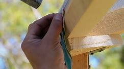 A Step-by-Step Guide to DIY Treehouse Construction