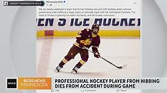 Minnesota native Adam Johnson dies after pro hockey game in UK