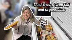 Declutter the Chest Freezer with Me | Freezer Organization | Pantry Challenge