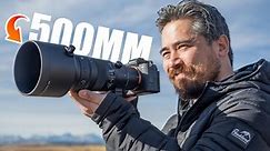 Sigma 500mm f/5.6 DG DN Sport Review: The Perfect Telephoto?