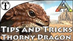 Fast Thorny Dragon Taming Guide :: Ark : Survival Evolved Tips and Tricks