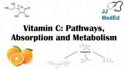 Vitamin C: Why we need it, dietary sources, and how we absorb and metabolize it