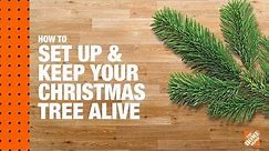 How to Set Up and Keep Your Christmas Tree Alive | The Home Depot