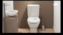 How to Install or Replace a Toilet Flush Mechanism