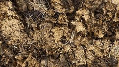 How to Compost Horse Manure Fast? - Grower Today