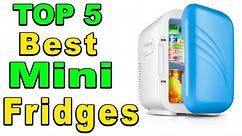 TOP 5 Best Mini Fridges Review 2024