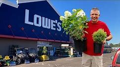 How to start a nursery with plants from Lowe's // Can you really do it??
