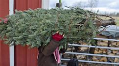 Howard County offers residents holiday tree disposal with 'Merry Mulch' program