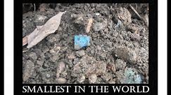 The Smallest In The World - Ohio Treasure Hunting - Oddities - Bottle Digging - Antiques - Marbles -