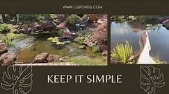 Pond Cleaning| Easy|Lazy Pond Maintenance