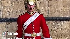 Royal king's guard's at horse guard's parade! #horseguardparade #royalguard #kingsguards #fyp #foryoupage #fypシ゚viral #unbilivable
