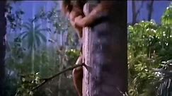 George de la jungle (1997) - Bande annonce