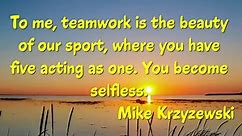 Top 21 Quotes About Teamwork - Motivational TEAM Quotes!