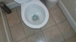 CC lever flush brandless toilet.