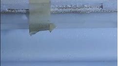 Frigidaire refrigerator - Leaking water/clogged drain line #appliancerepair