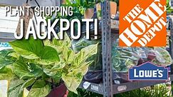That was unexpected! Insane Plant finds at Lowe’s & Home Depot! Plant Shopping Big Box Store!