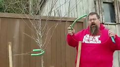 How to Properly Stake Your New Trees