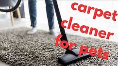 You Need This If You Have Pets || Best Carpet Cleaner for Pets || Carpet Cleaners || Derrick Soo