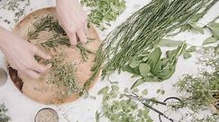 Complete Guide to Freeze-Drying Herbs at Home