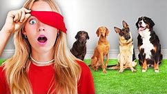 Finding our DOG Blindfolded! Angel’s Puppy Returns!