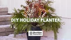 DIY Holiday Planter ✨ Bring out your... - Sheridan Nurseries