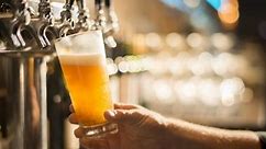 Tapping Into Beer: A Guide to Brews for the Beer Curious