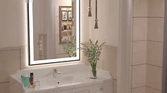 Apmir 20 in. W x 28 in. H Rectangular Space Aluminum Framed Dual Lights Anti-Fog Wall Bathroom Vanity Mirror in Tempered Glass L001B5070
