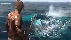 biggest hammerhead shark hunting in the sea