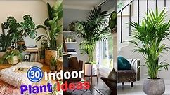30 Best Indoor Plant Ideas 🌳🌲🌴| Indoor Plants Decoration | Indoor Plants Without Sunlight