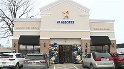 'Ritz Carlton of dog hotels' opens first Ohio location