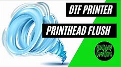How to Flush Your Epson Printhead for DTF Conversion - DTF Printer Conversion PART 1 - #DTFprinting