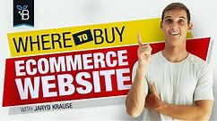 Where To Buy Ecommerce Websites For sale (That Are ACTUALLY MAKING $$)