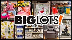 Big Lots Shop With Me 2024🔥🔥Big Lots Deals 🔥🔥New Arrivals at Big Lots