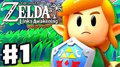 The Legend of Zelda: Link's Awakening - Gameplay Part 1 - Intro and Tail Cave! (Nintendo Switch)