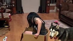 Home Depot Shipping Fail #spookykisseshaunt #huskylife #specialdelivery #gothgirl | Spooky Kisses Haunts