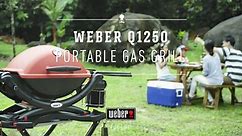 Weber Q 1250 Portable Gas Grill - Grill Anywhere