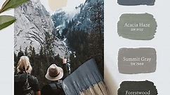 Paint Palettes by Region