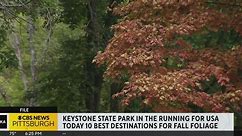 Keystone State Park nominated as one of the nation's best fall foliage destinations