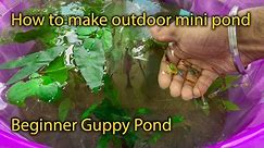 How to Make a Easy DIY Outdoor Fish Pond & Tank Setup for Guppy | Planted River Theme