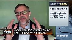 BlackRock's Tony DeSpirito on a potential Biden victory