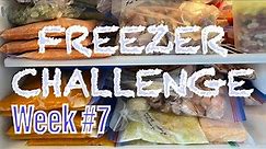 Freezer Challenge #7 - The Final Week!