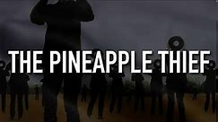 The Pineapple Thief - Give it Back (Rewired) [Official Lyric Video]