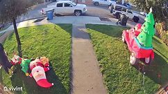 Lawnmower Destroys Christmas Decoration Cord
