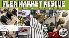 SHOP THE THRIFT STORES WITH US FOR HOME DECOR FINDS!!! 2024 THRIFTING FOR RESALE!