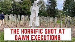 The HORRIFIC 'Shot At Dawn' Executions