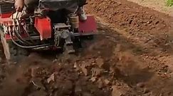 heavy duty micro tiller for soil farming, cultivator with sharp blades, planting, crop #viralvideo