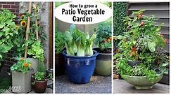 Patio Vegetable Garden Setup and Tips to Get Growing