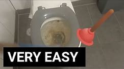 Blocked Drain 4 | How to Unclog a Toilet - Blocked Toilet