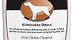 THORNELL Dog Odor-Off Pet Odor Eliminator Spray Bottle – Ready to Use Dog Carpet Cleaner – Dog Urine Carpet Cleaner for Home, Glandular Secretions, Feces Odors (22 Fl Oz)
